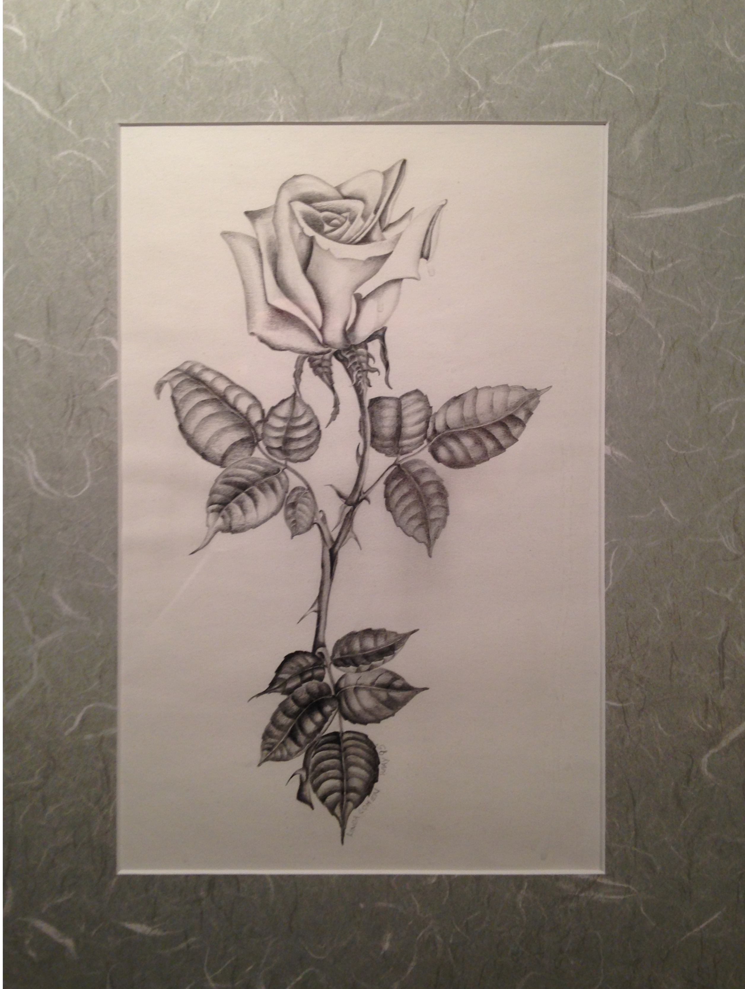 Rose II